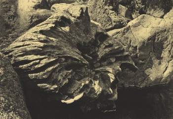 Richard Noyce
'Rhiew'
Lithograph
315mm x 445mm Richard Noyce
'Rhiew'
Lithograph
315mm x 445mm